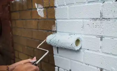 Kitchen cabinet painting Ainslie